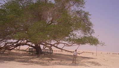 Man and the Tree of Life, and camels in the desert