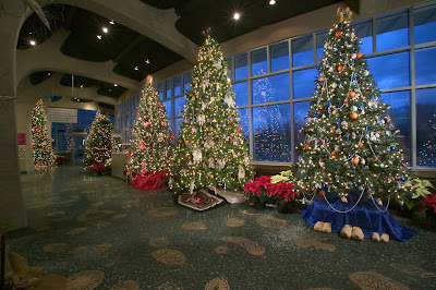 Five of the trees illuminating Meijer Gardens’ Christmas Celebration. Photo Courtesy of William J. Hebert