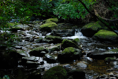 smallest of the Torc Waterfalls