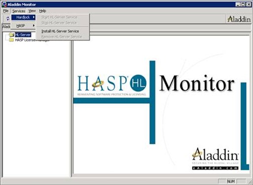 Aladdin Monitor: Install HL-Server Service
