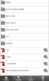 FLV HD MP4 Video Player