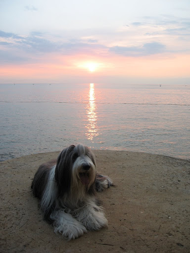 Porec%202010%20019.jpg