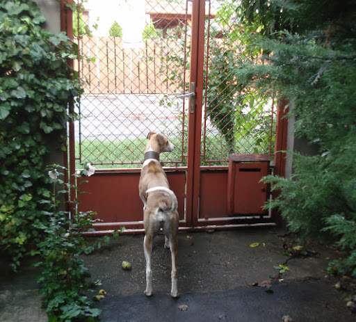 20100912%20034.JPG