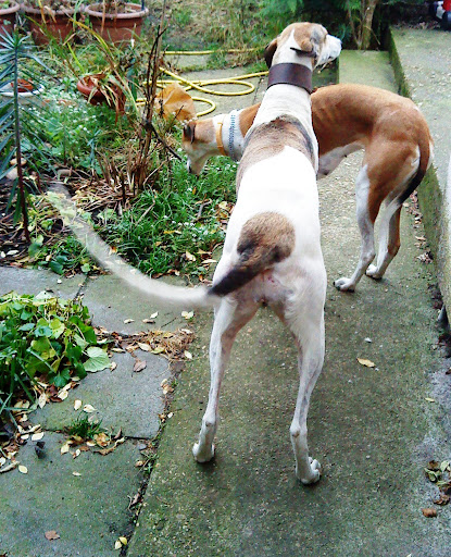 20101124%20016.JPG