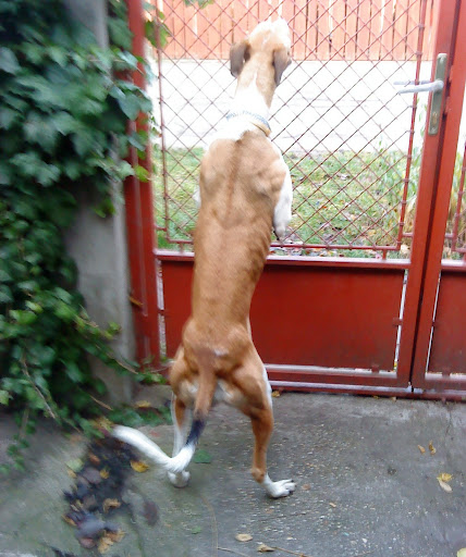 20101123M%20013.JPG