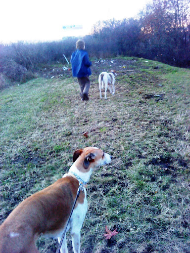 20101123M%20050.JPG