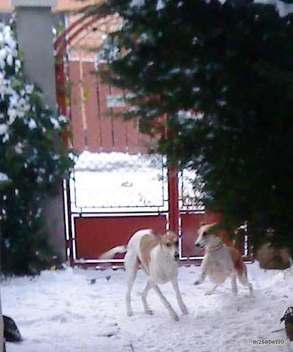 20101228%20009.JPG