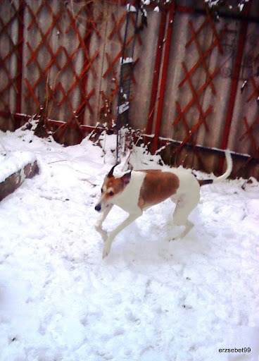 20101228%20010.JPG