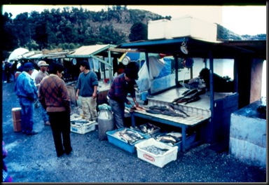 Puerto Montt - fiskemarked