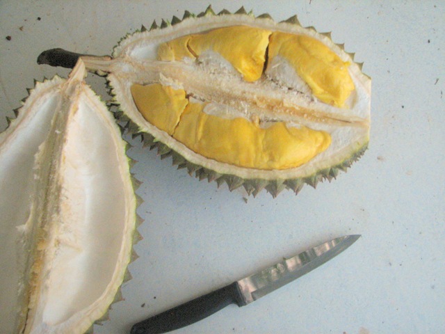 [Durian0034.jpg]