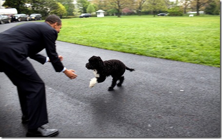 President Obama Dog4