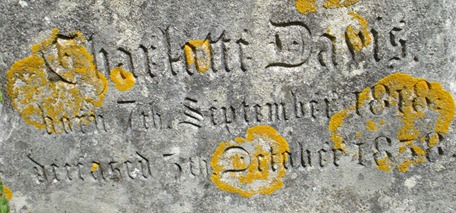 Charlotte Davis Memorial Inscription