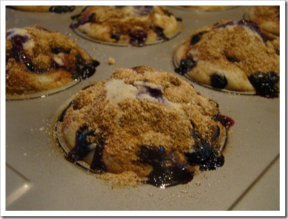 KA classic blueberry muffins (3)