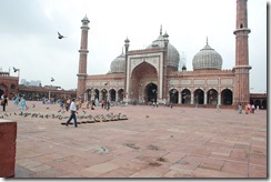 India 2010 - Delhi -  Jamma Masjid  , 13 de septiembre   38