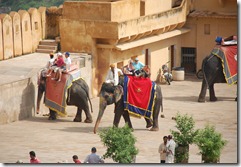India 2010 -   Jaipur - Fuerte  Amber , 15 de septiembre   83