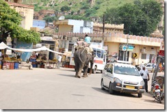India 2010 -   Jaipur - Fuerte  Amber , 15 de septiembre   163