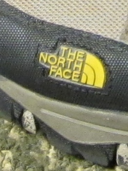 JPEG_0800.jpg
