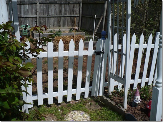 Garden project - fence after painting