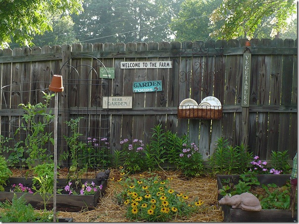 decorated privacy fence