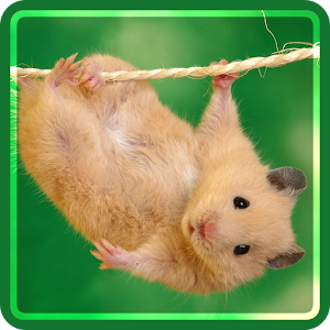 Animals Wallpapers.apk 1.0
