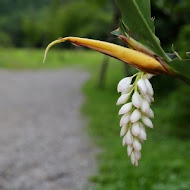 好時節農莊