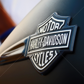 Harley Davidson by Mukesh Mishra - Transportation Motorcycles