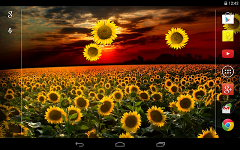 Sunflower Live Wallpaper screenshot 3