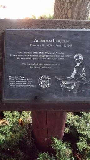 Abraham Lincoln Tree