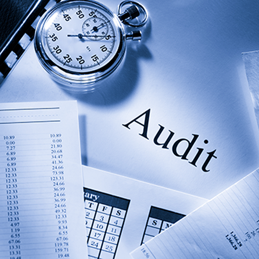 Audit Information System
