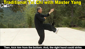 Yang Tai Chi for Beginners 2&3