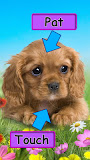 Talking puppy