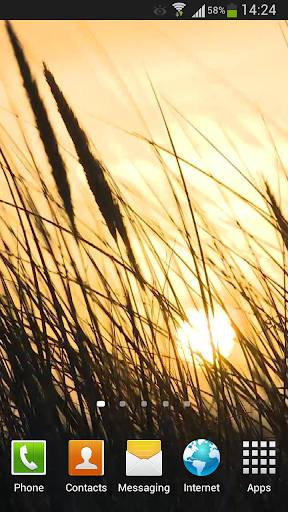 Grass Live Wallpaper HD