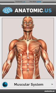 肌肉解剖遊戲精簡版