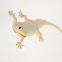 Pacific House Gecko