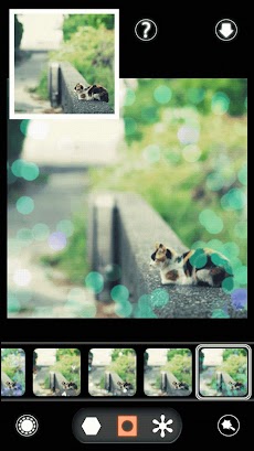 BokehPic-お洒落なフィルターで写真加工カメラアプリ！のおすすめ画像4