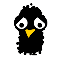 Crazy Bird