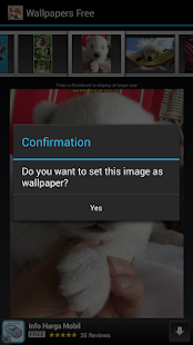 Free Wallpapers Free APK for PC