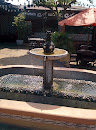 Fountain at Matketplace