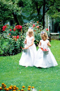 Wedding Decoration Ideas(圖4)-速報App