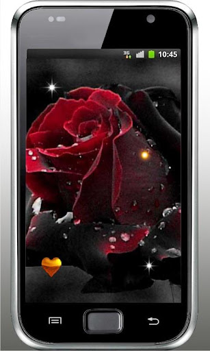 Gothic Rose Live Wallpaper