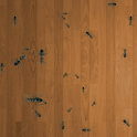 Ant Hunter Live Wallpaper logo