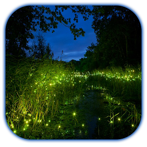 Fireflies 3D 1.1