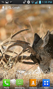 Free Download Deer Hunters Live Wallpaper APK for PC