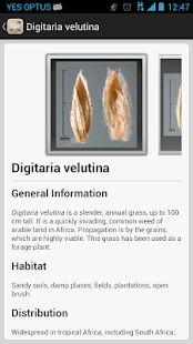 Federal Noxious Weeds Key(圖4)-速報App