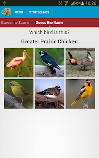 North American Birds Sounds(圖6)-速報App