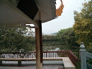 Lotus 洪湖公園