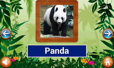 Animals and Birds by Intellisense poster 20