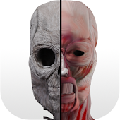 Anatomy Bones and Muscles