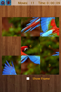 鳥類拼圖(圖4)-速報App