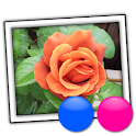 Flickr Map